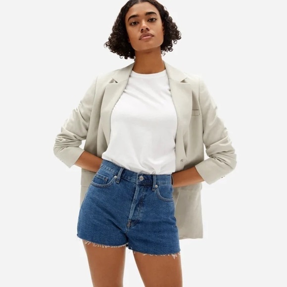 Everlane Pants - Everlane The Cheeky Denim Shorts